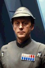 colley1.jpg